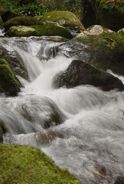 cachoeira do gato