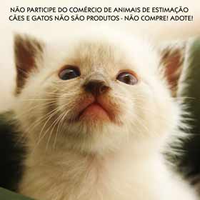 adote um cão ou gato